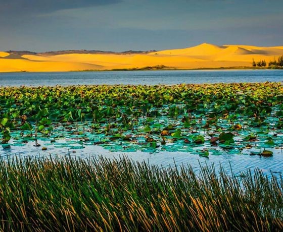 Bàu Trắng – Bàu Sen - Phan Thiết